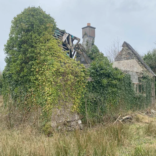 Family Roots Homeplace in Ireland for Ancestry Discovery